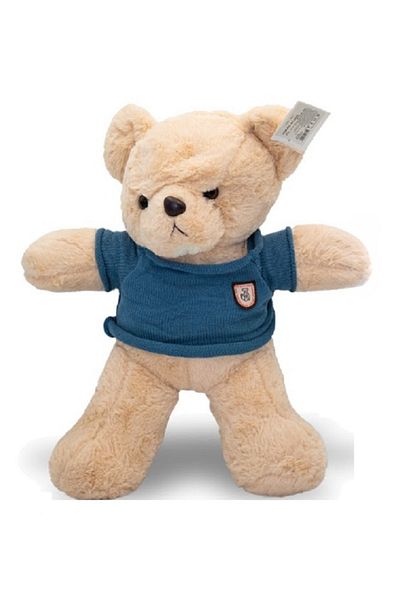 rexa Beige Teddy Bear with Blue Shirt – 50cm x 43cm
