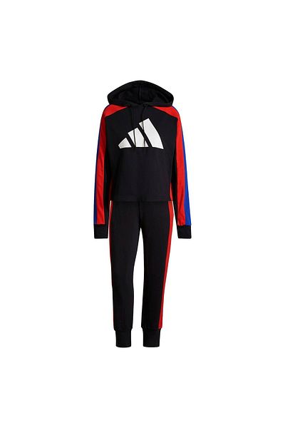 adidas ADIDAS women's tracksuit W TS BIG LOGO - GT3709