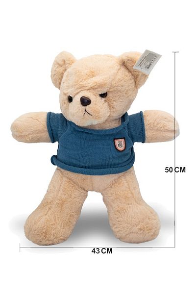 rexa Beige Teddy Bear with Blue Shirt – 50cm x 43cm