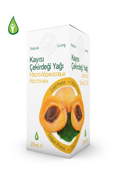 Gebece 20 مل زيت نواة المشمش