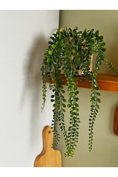 BUCOLIC Dekoratif Sarkıt Tesbih Çiçeği