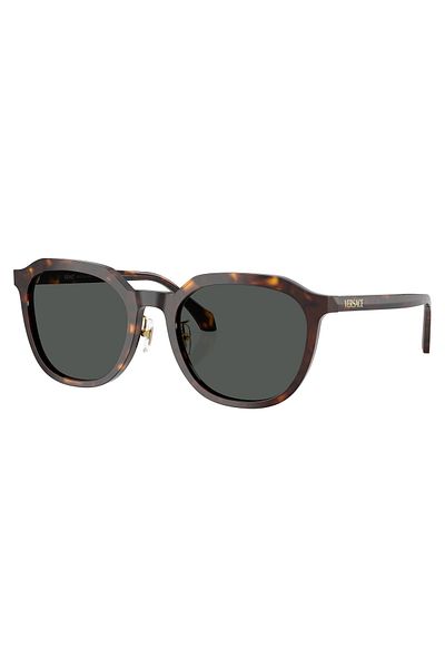 Versace Sunglasses Ve4493D 55 108/87