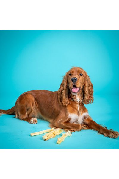 Snacky Dog Natural Dog Treats Pack of 3 x Rabbit Sticks - Snacky Dog