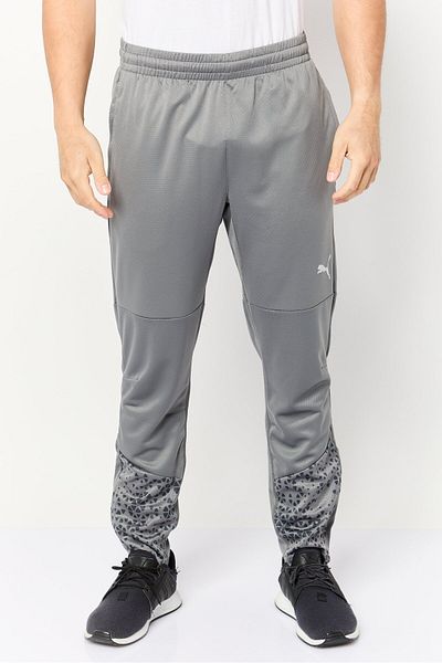Puma Men Slim Fit Training Track Pants, Grey