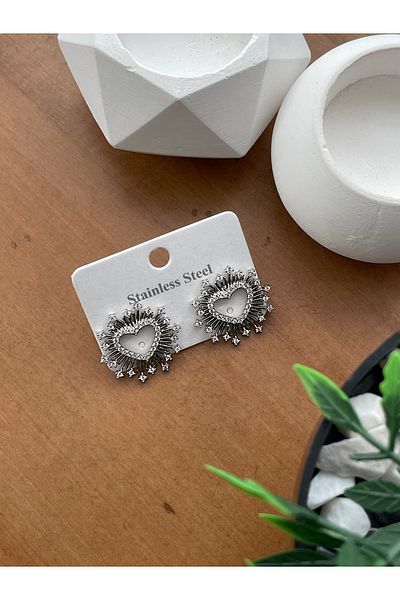 JELLY Women's Steel Silver Color Zircon Stone Heart Figured Sparkling Earrings