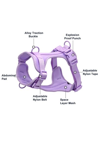 EvrikaUnity Set Ham cu Lesa 1.5m pentru caini, Circumferinta ajustabila gat 25 - 36 cm, piept 35 - 55cm, S, Mov
