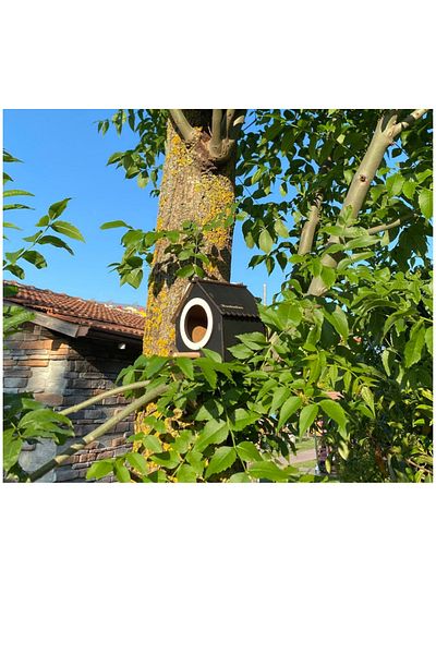 WoodenZoo Wooden Decorative Bird House Nest, Nest, Balcony, Garden Accessory (Black)
