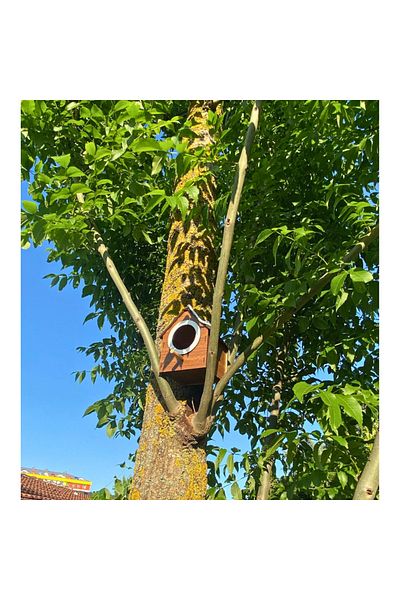 WoodenZoo Wooden Decorative Bird House Nest, Nest, Balcony, Garden Accessory (Brown)