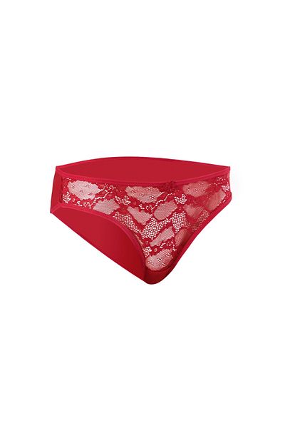 Fily Underwear Ebru Lace Slip Panties Eco Package (6 Pcs)