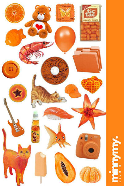 Minnymy Orange Vintage Retro Sticker, Çıkartma, Ajanda, Günlük, Planlayıcı, B...