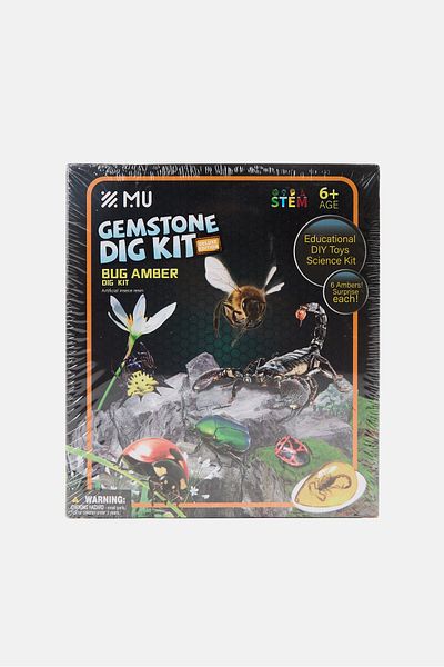 STEM Bug Amber Dig Kit