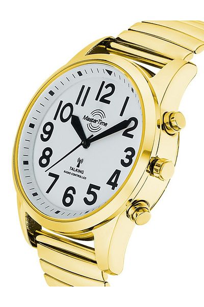 Master Time Mens Watch Master Time MTGA-10941-12Z, Quartz, 43mm, 3ATM