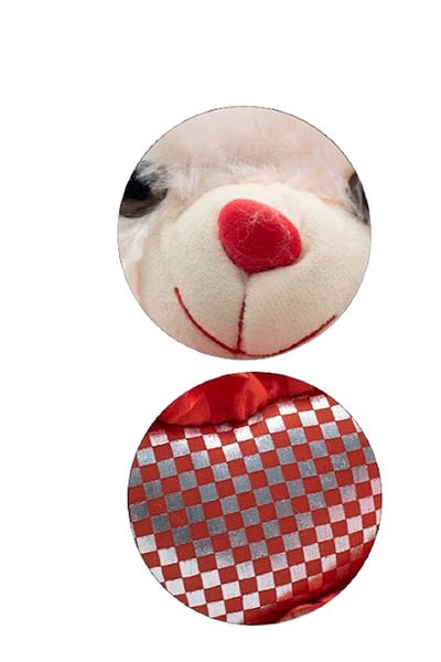 rexa Teddy Bear with Heart – Cute Plush Gift Toy | 29 x 24 cm Stuffed Bear