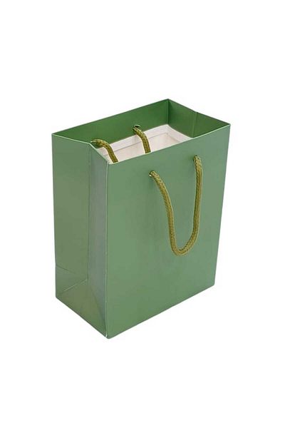 Party and Story Green 6pcs handmade cardboard gift bag Size 12Ã—7Ã—15CM
