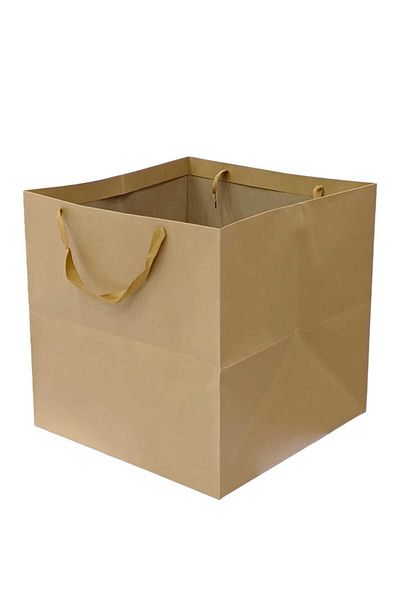 Party and Story Square cardboard gift bags
