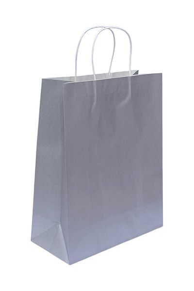 Party and Story Light Gray Kraft Paper Gift Bags, 12 Pieces