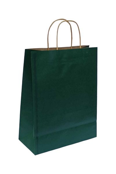 Party and Story Green kraft paper gift bags, 12 pieces