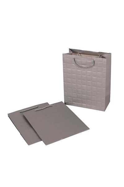 Party and Story Long, Prominent, Gray Sacs Length 33*width 26