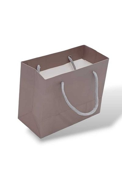 Party and Story 6 pieces of wonderful cardboard gift bags Size 12Ã—7Ã—15CM