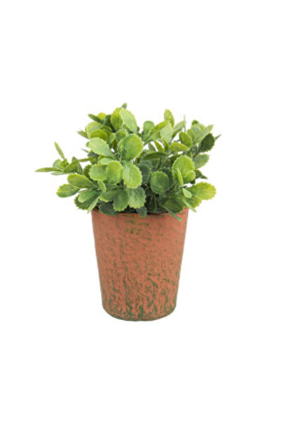 Bizzotto Γλάστρα Πράσινη Μεταλλική Ø 26 εκ. x 12 ύ