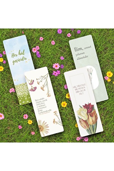 Riyaz Dükkan مجموعة من 4 إشارات مرجعية مزدوجة الجوانب - كرتون سميك، مع سيلوفا...