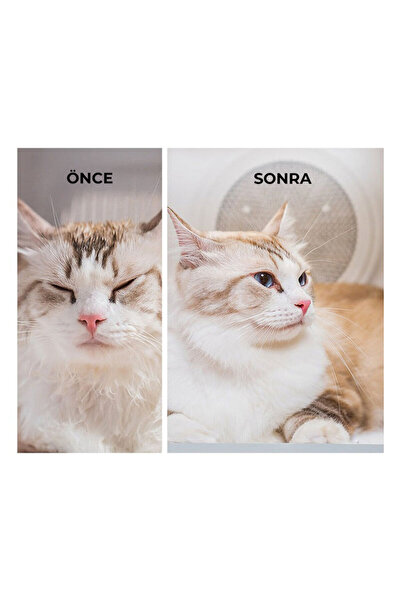 Petkit Evcil Hayvan Kurutma Makinası Pro (Resmi Distribütör Garantili)