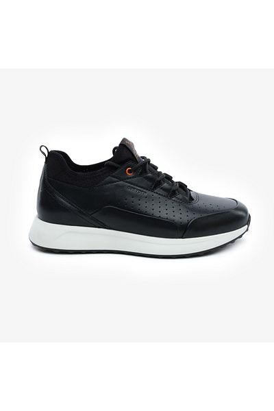 Greyder 5Y1Ua17981-17981 Mr Urban Ayk (K)