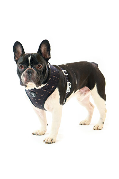 Famous Frenchie Ham Pentru Caini, Reversibil, , King & Queen