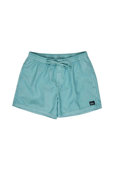 Quiksilver Everyday Surfwash Volley 15 Men's Volley Short Men's Volley Short Eqyjv04155
