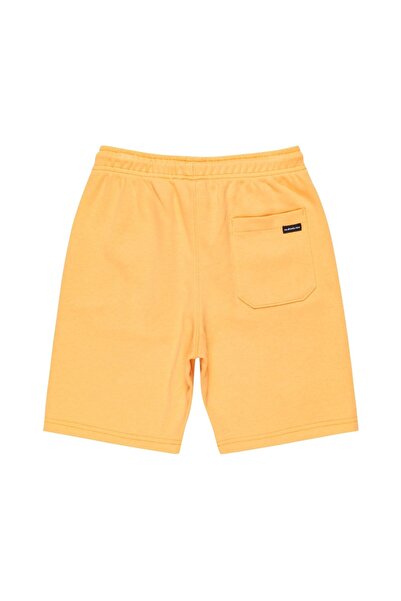 Quiksilver Easy Day Jogger Short Youth Boys Yellow Shorts Boys Shorts Eqbfb03174