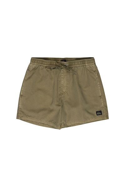 Quiksilver Everyday Surfwash Volley 15 Men's Volley Short Men's Volley Short Eqyjv04155