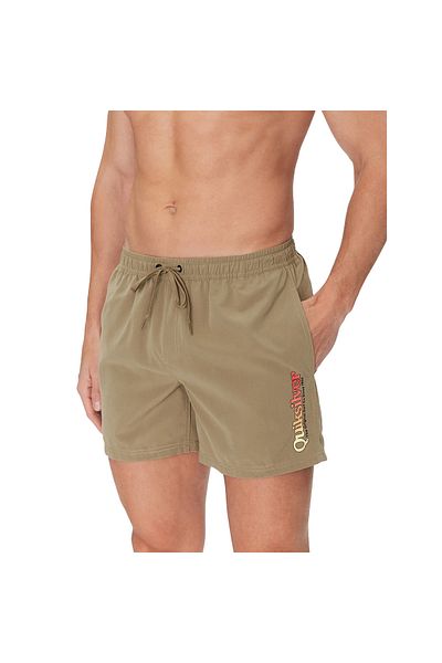 Quiksilver Spl Fineline Volley 15 Men's Volley Short Men's Volley Short Eqyjv04141