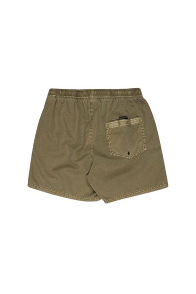Quiksilver Everyday Surfwash Volley 15 Men's Volley Short Men's Volley Short Eqyjv04155