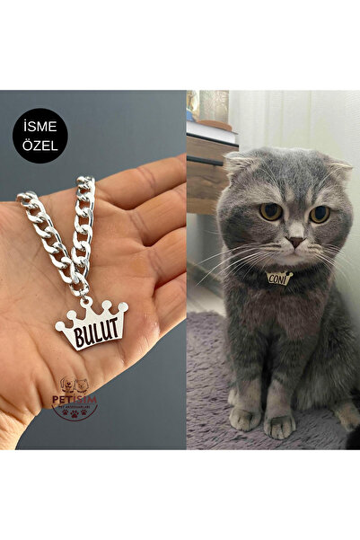 PETİSİM PET AKSESUARLARI İsme özel kedi tasması paslanmaz metal isimli tasma