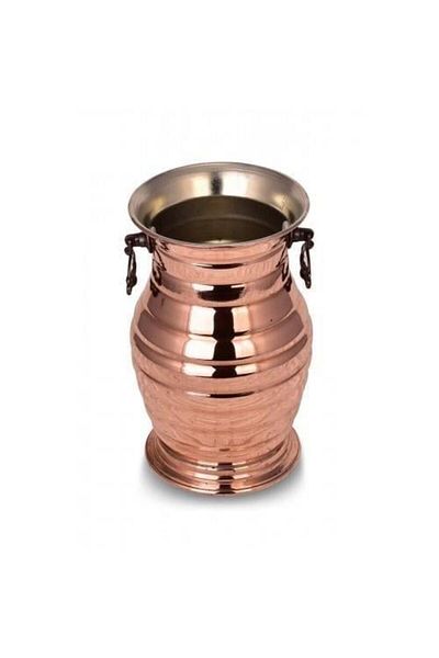 Tanemce Hyacinth Vase Red Vase Flower Pot with Straight Handle