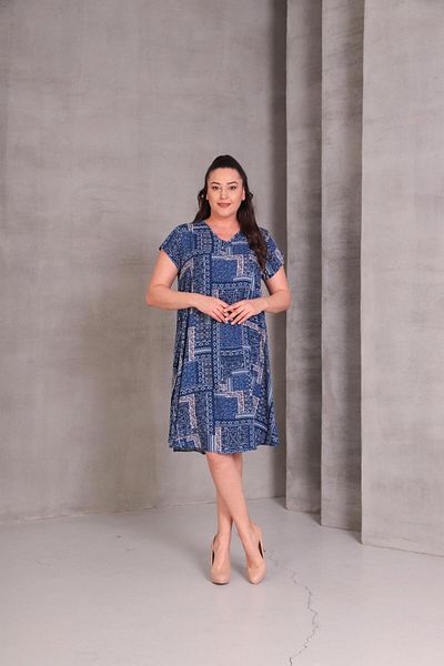 Ebsumu Women's Plus Size Sleeveless Printed Woven Blue Dress