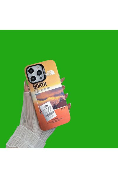 THE NORTH FACE The North Face case, compatible with Iphone 15 PRO, MOUNTAIN