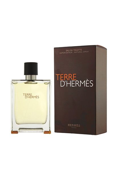 Hermes Terre D'Hermes, Men, Eau de Toilette, Eau de Toilette, 100 ml