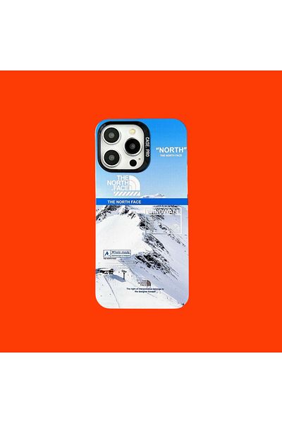 THE NORTH FACE The North Face case, compatible with Iphone 16 PRO, MOUNTAIN