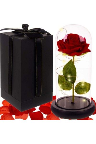 varioshop VarioShop® cryogenic red rose, in glass dome, LED lighting, includes 100 rose petals
