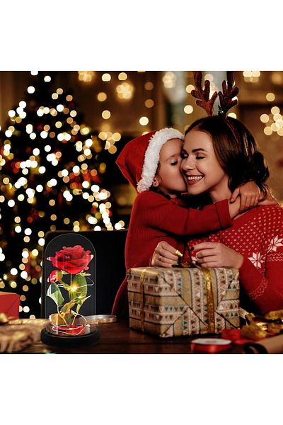varioshop VarioShop® cryogenic red rose, in glass dome, LED lighting, includes 100 rose petals