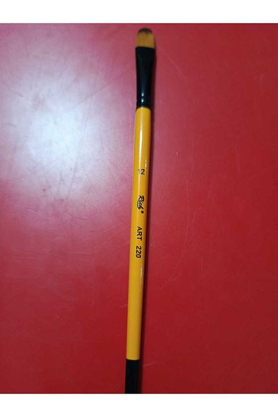 Rich 220 Series Cat Tongue Brush No:12 Short Handle