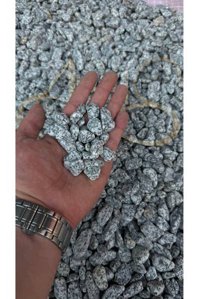 AHS Doğal Granit Gri Dolomit Taşı 1 Kg 1-3 Cm Dere Çakıl Bahçe Peyzaj Saksı T...