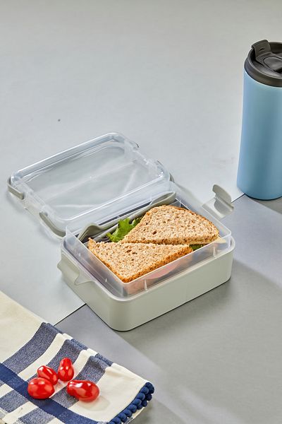 Espas Home Double Deck Portable Lunch Box – Transparent Lid, Handle, Leakproof Food Container - Gray