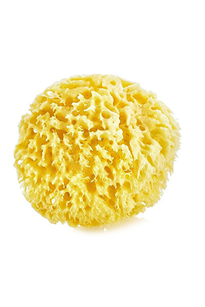 OkBaby اسفنجة استحمام طبيعية رقم 10 (4 قطع)