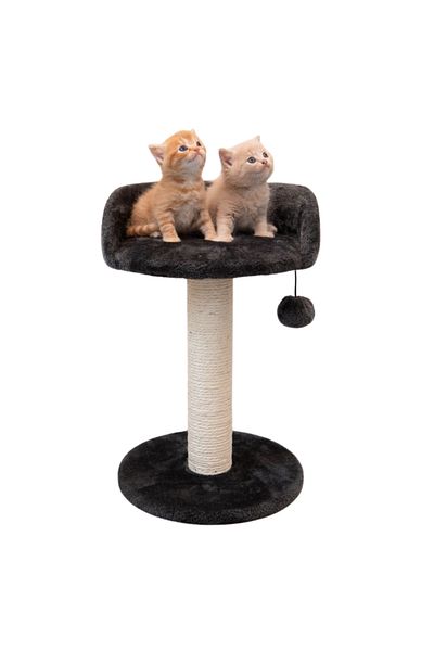 ENIO Enio cat play set, with sisal seat and post, with play ball, 47 cm