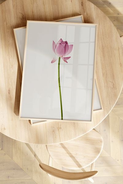 Home Σετ Lotus 2 τεμαχίων, Ροζ, Λουλούδι, Διακόσμηση σαλονιού, Διακόσμηση σαλονιού, Διακόσμηση σπιτιού Μαλακό, Χωρίς πλαίσιο