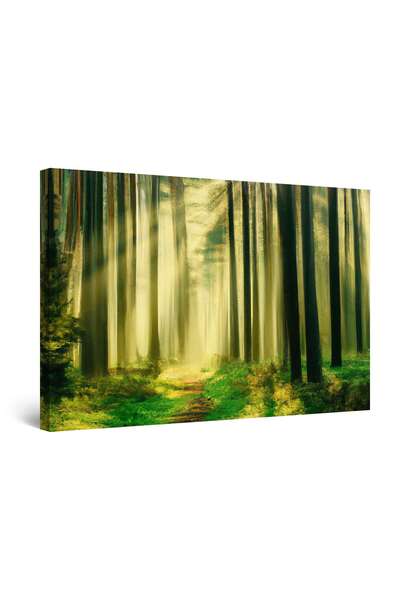 startonight Tablou DualView Startonight Carare Verde Luminata in Padure, luminos in intuneric, 60 x 90 cm