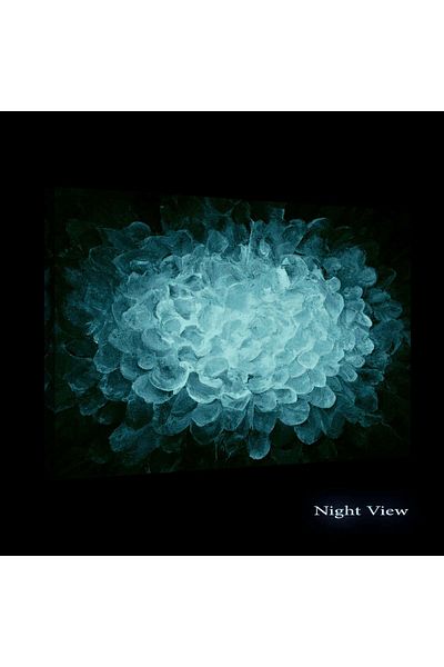 startonight Tablou DualView Startonight Abstracta Floare Albsatru Luminos, luminos in intuneric, 60 x 90 cm