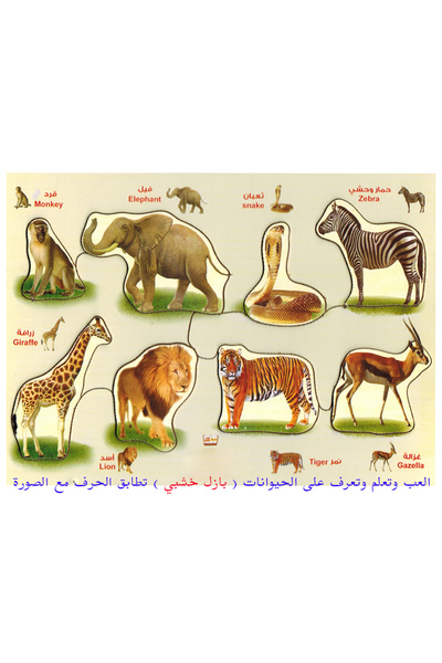 WOOD بازل خشبي - حيوانات الغابة